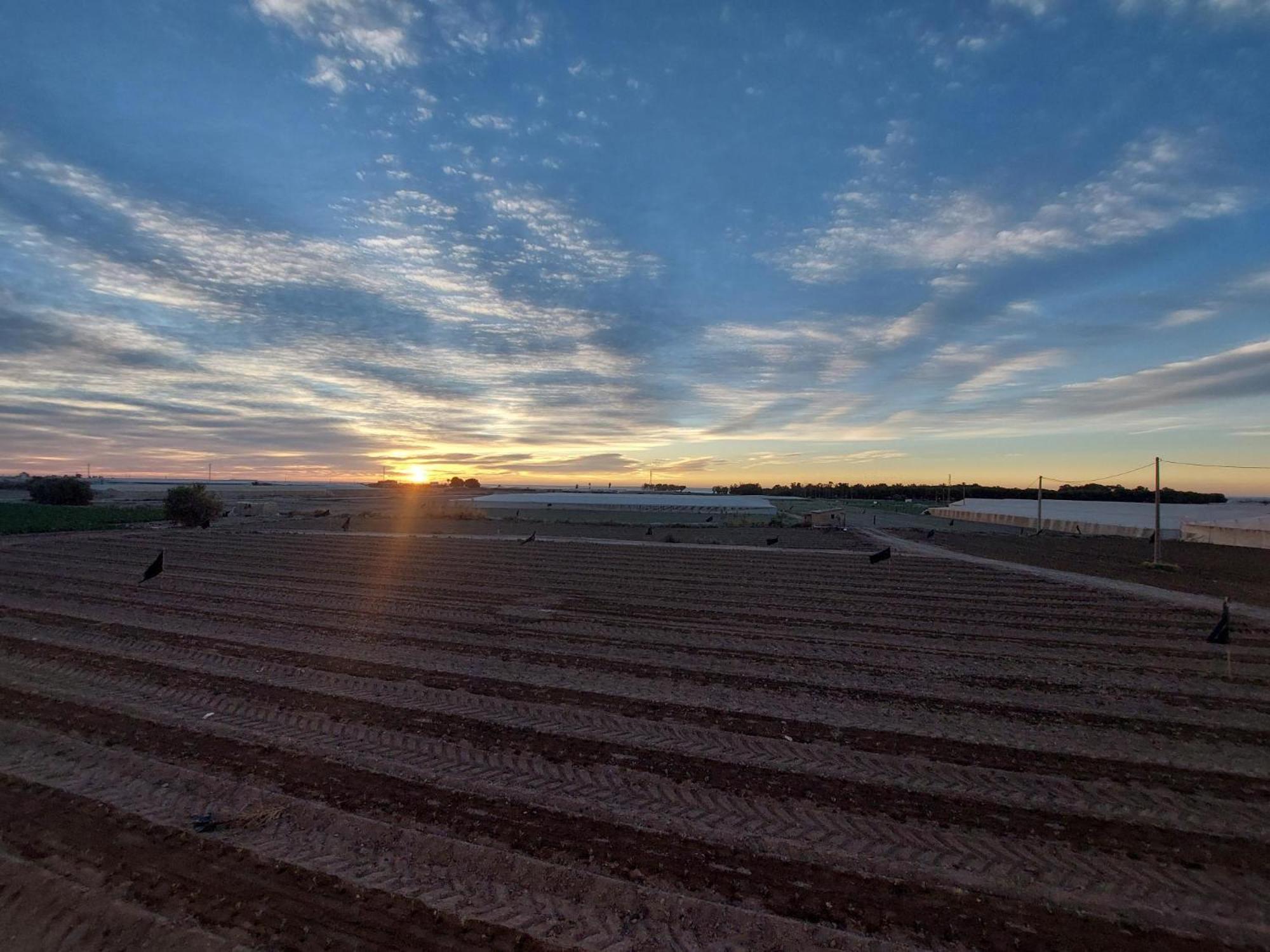 Hacienda Del Marques III To Chill Apartment กวยบัส เดล อัลมันโซรา ภายนอก รูปภาพ